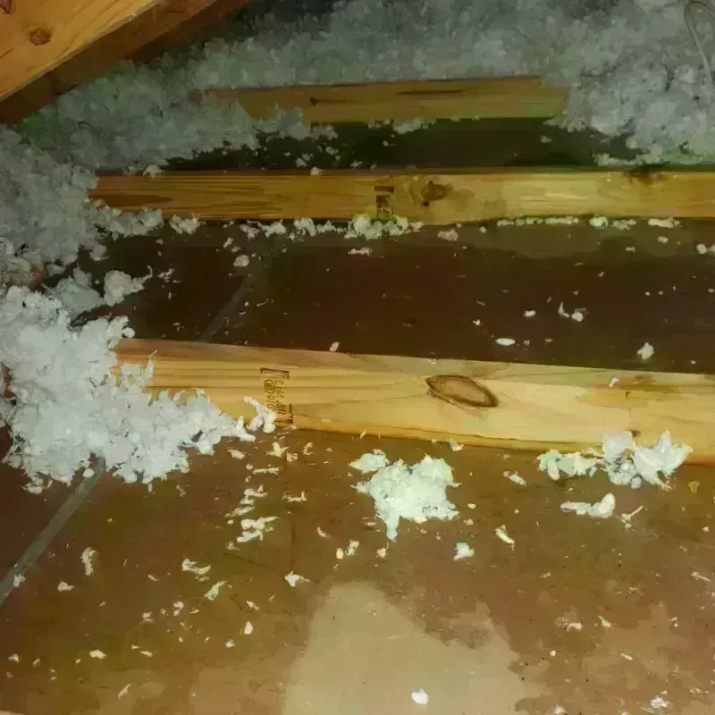 Attic Water Damage in Pittsburg, KS