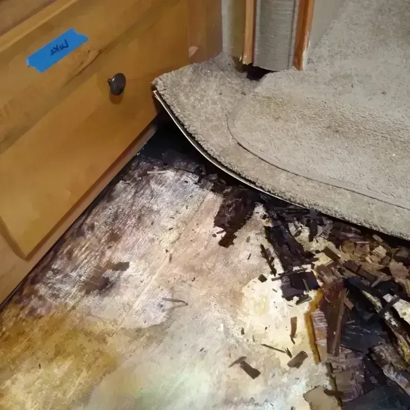 Wood Floor Water Damage in Pittsburg, KS